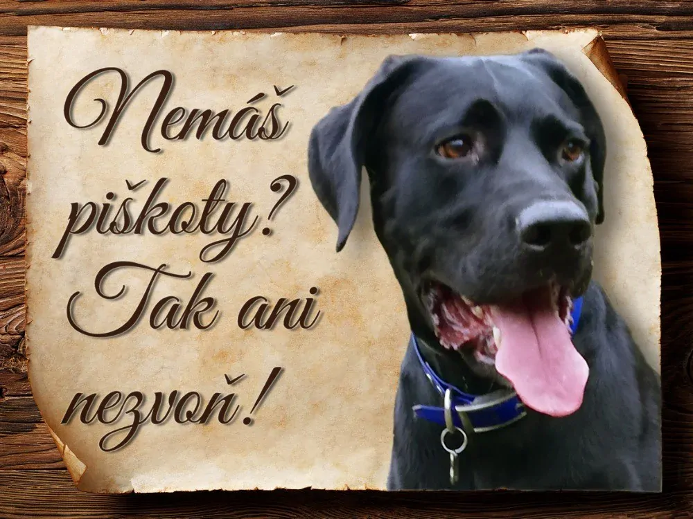 9006 Cedulka na zakázku 15x11 - Nemáš piškoty..