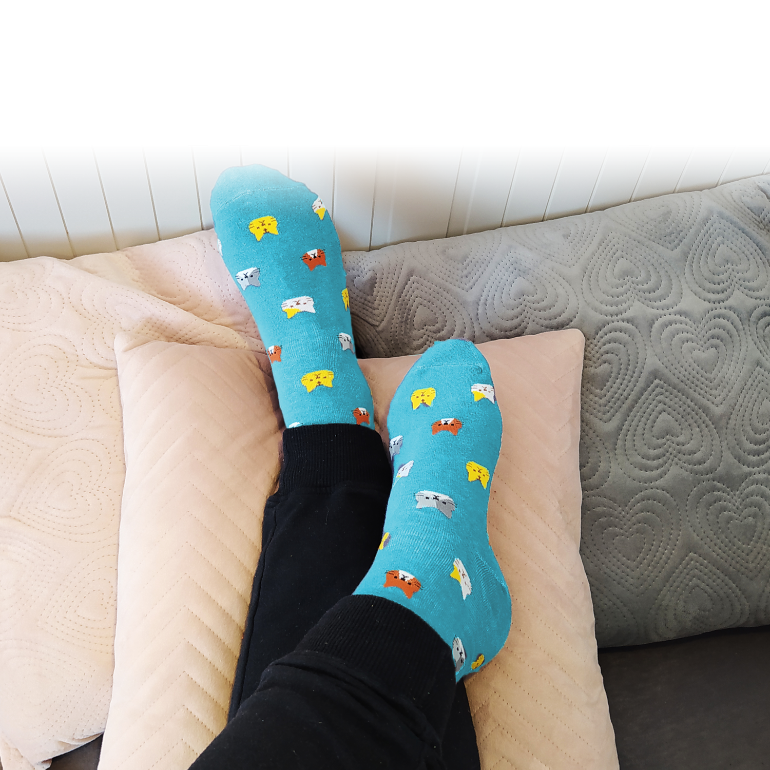 3659 Veselé ponožky kočky 