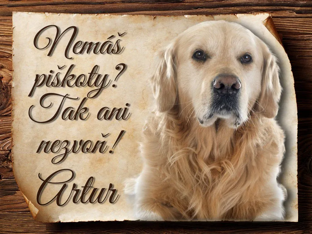 9006 Cedulka na zakázku 15x11 - Nemáš piškoty..