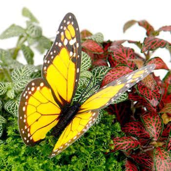 3742 Zápich do květináče- motýl 24ks