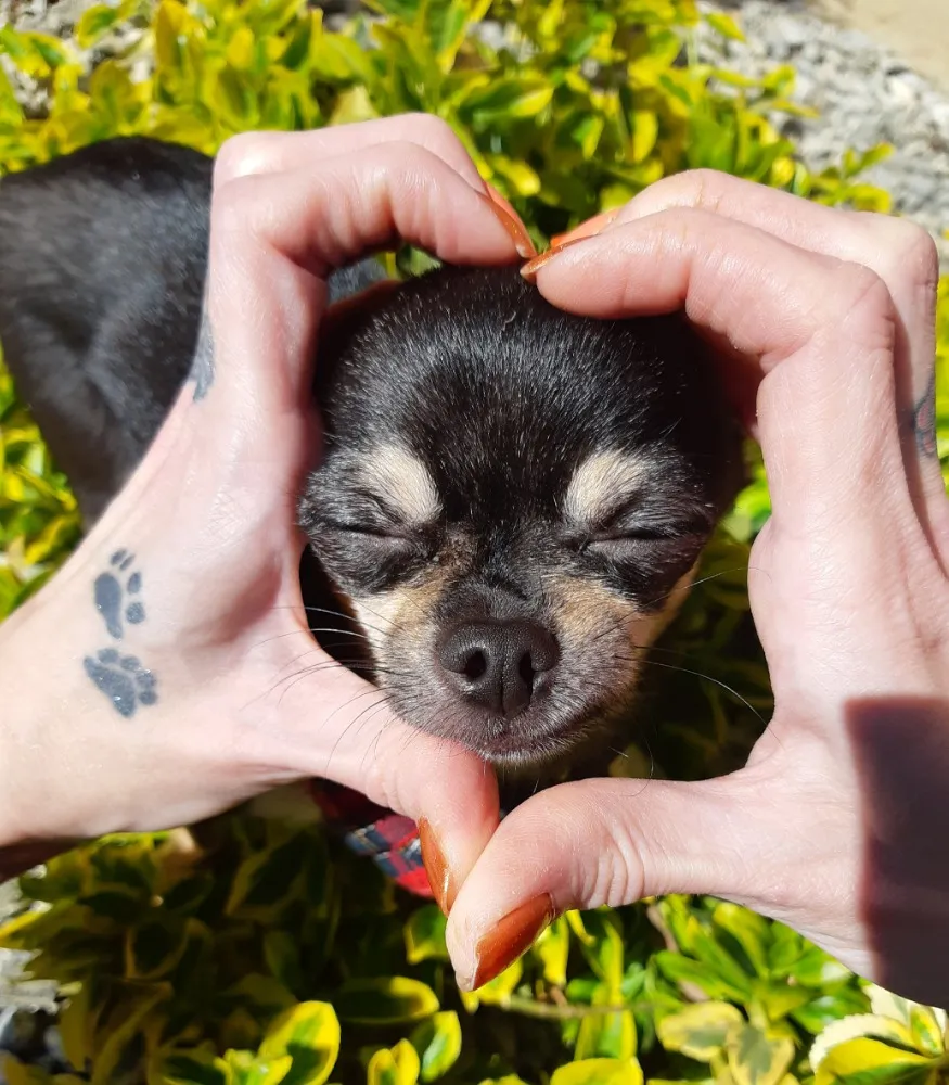 9001 Taška s vlastní fotografií