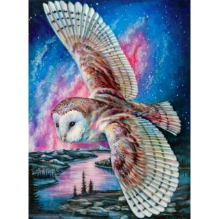 3860 Diamantové malování - Sova pálená