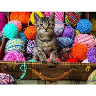 3941 Diamantové malování kotě