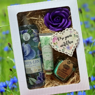 3372 Dárkový balíček pro učitelku - Chrpa